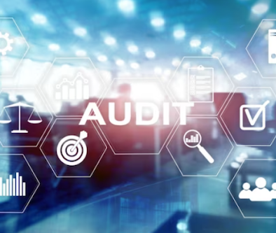 Consult Audit SAC