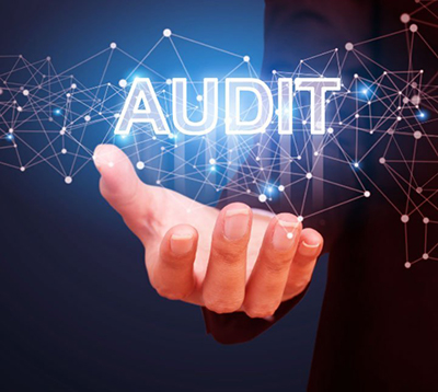 AuditConsult
